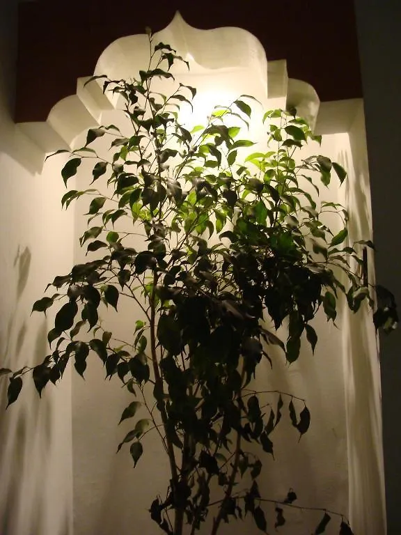 Riad Harmonie Kennaria Marrakesh
